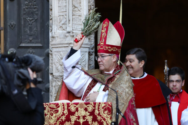 Domingo de Ramos 6.29-03-26