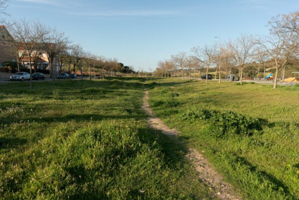 Visita Valparaíso 8.25-03-26